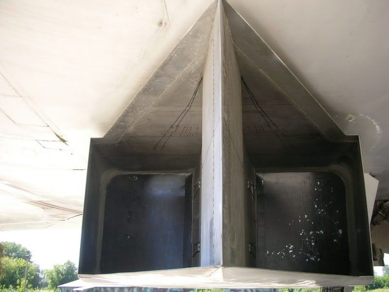 museumfly012.jpg
