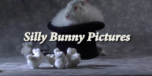 Silly Bunny Logo