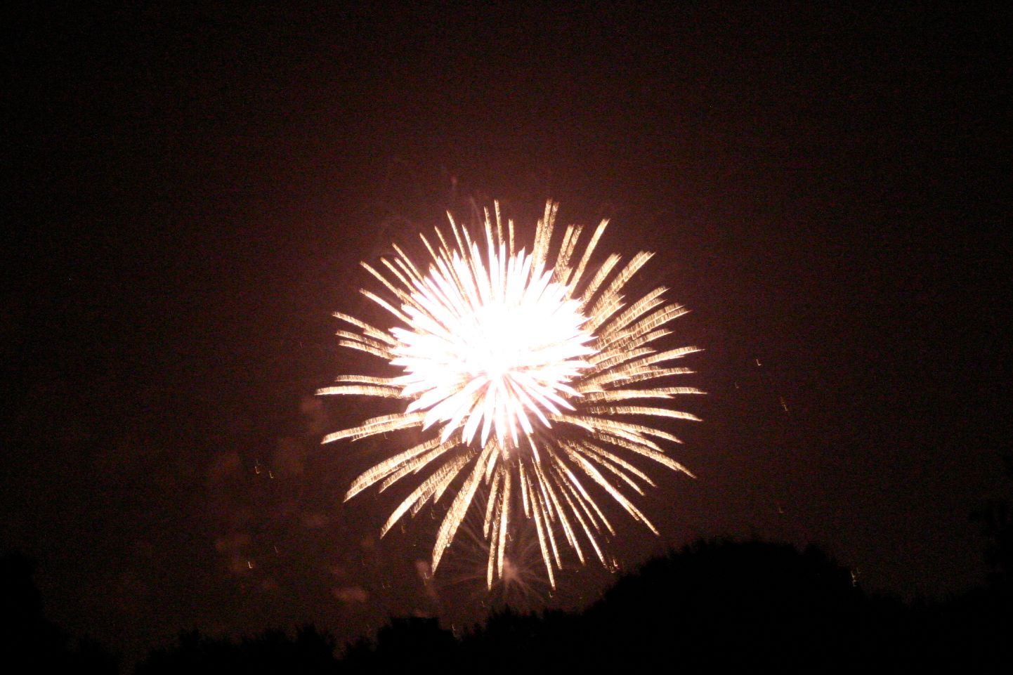 smyrna,clayton,fireworks,2010