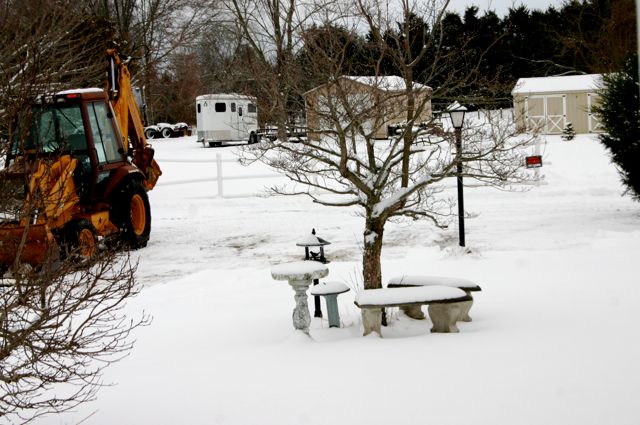Snow day - 1/12/2011