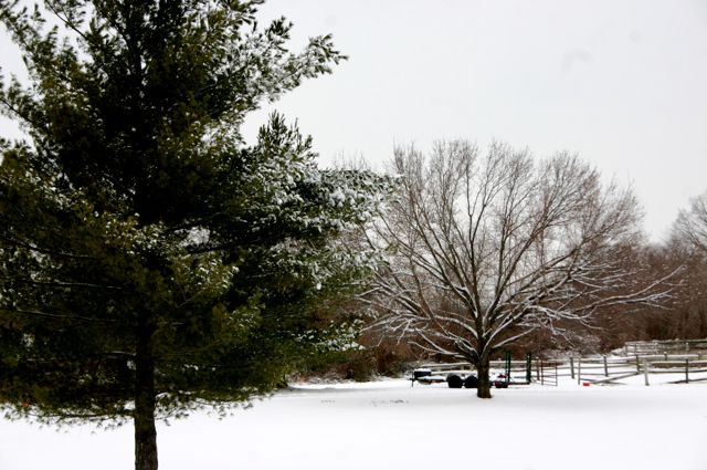 Snow day - 1/12/2011