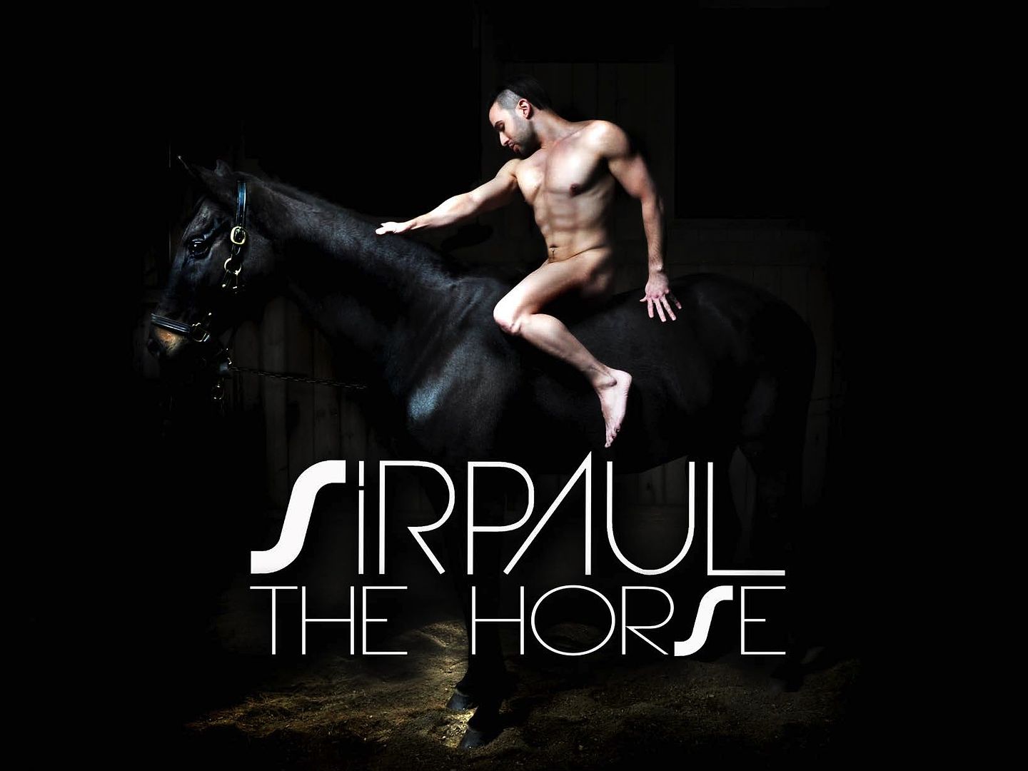SIRPAUL The Horse