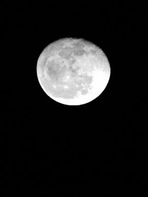 New Moon photo NewMoon1_zps3741aa0b.jpg