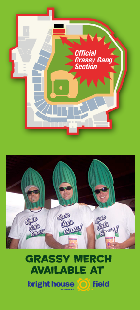 quot;Ultimate Baseball Fields baseball field grass. quot;Ultimate Baseball Fields