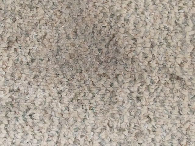 DIRTY CARPET / BEFORE