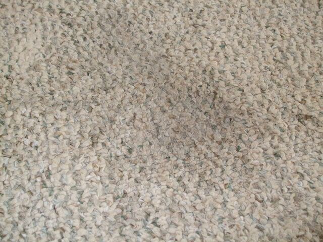 DIRTY CARPET #2