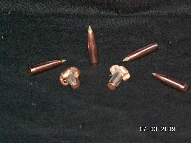 338200grE-Tip100and300yds.jpg