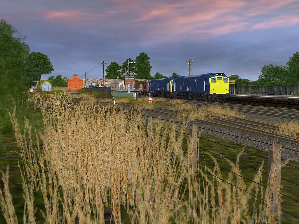 252.jpg