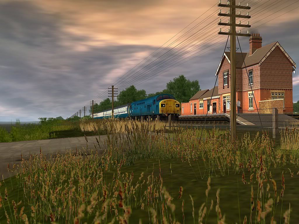409.jpg