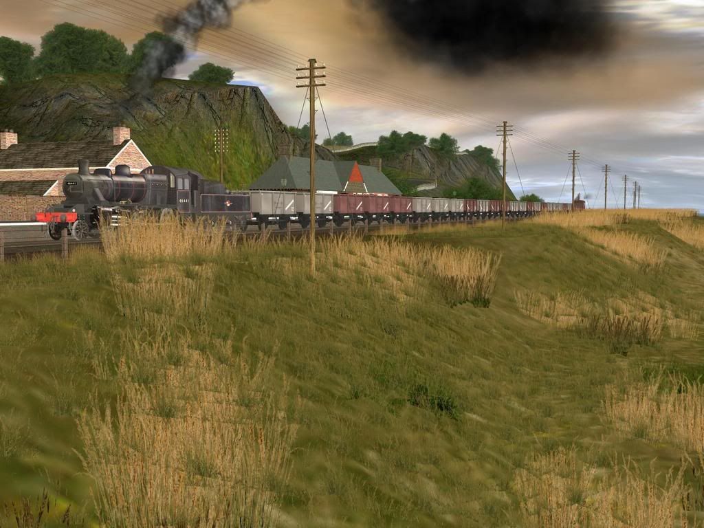 dt1.jpg