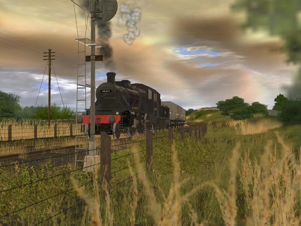 dt20.jpg