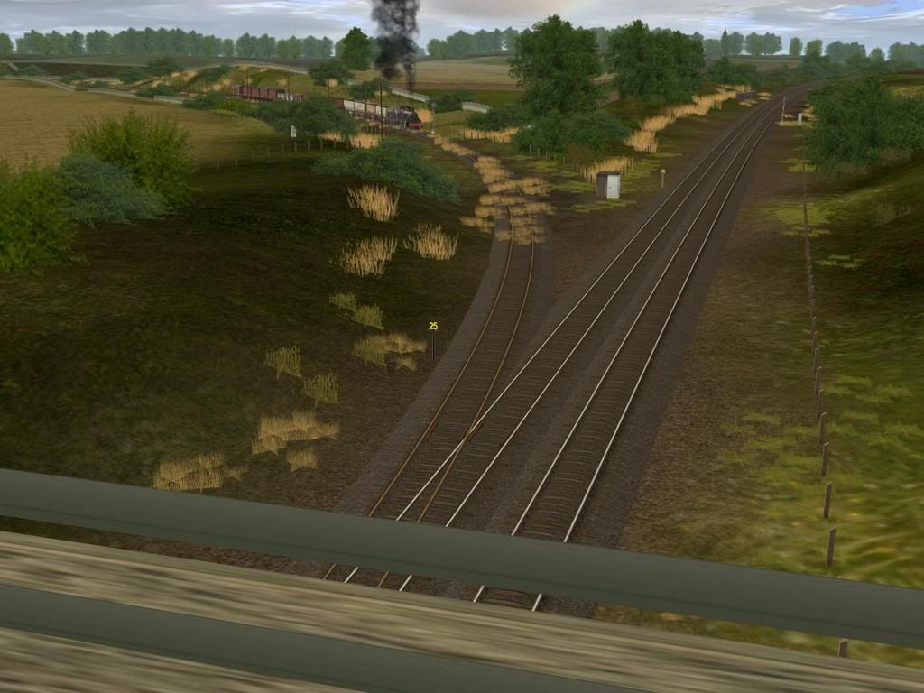 dt23.jpg