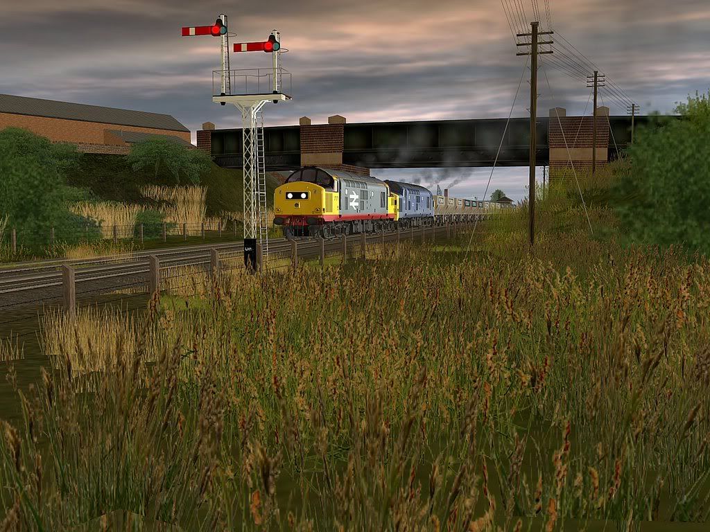 rfd5.jpg