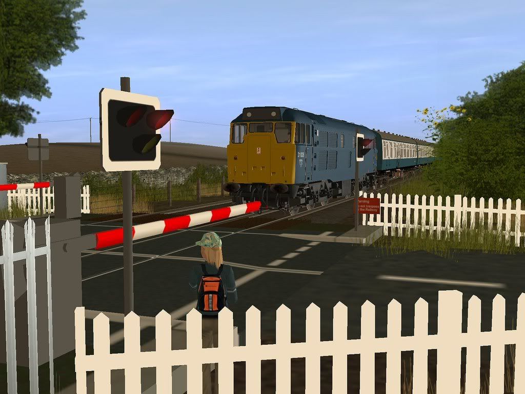 br6-1.jpg