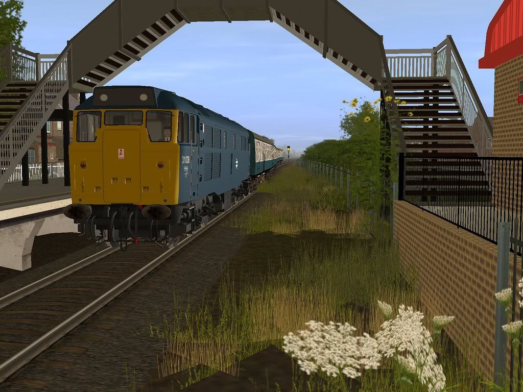 br7-1.jpg