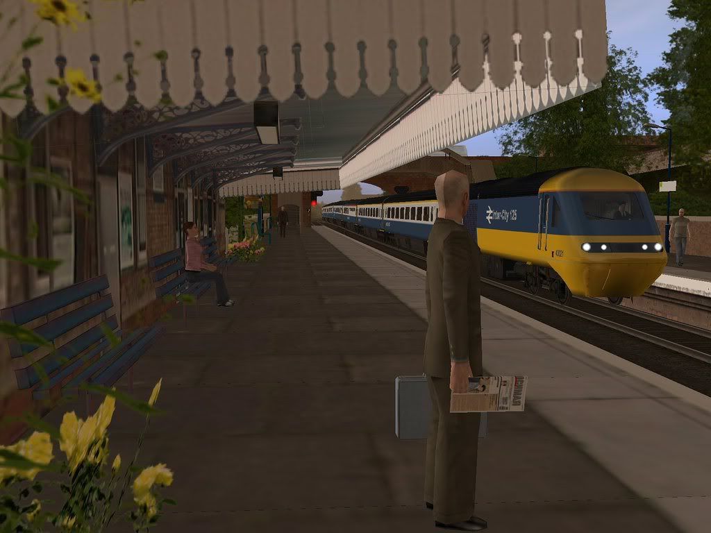 hst6.jpg