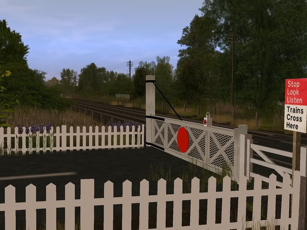 hst8.jpg