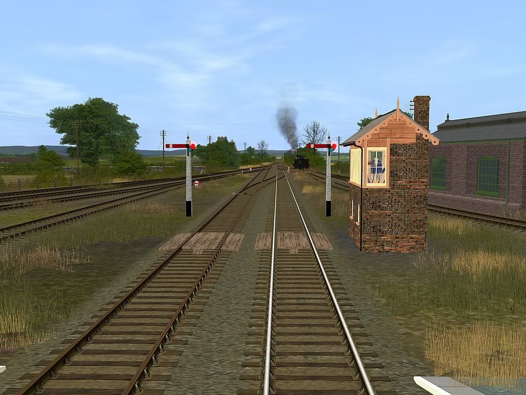 wcr15.jpg