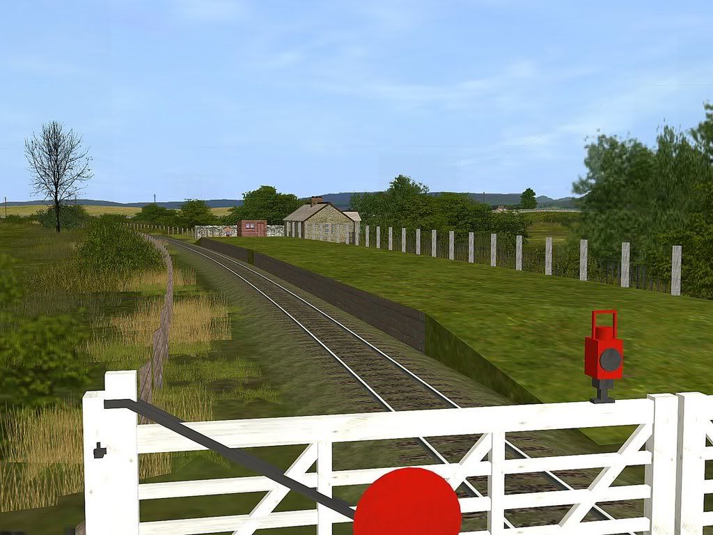 wcr44.jpg