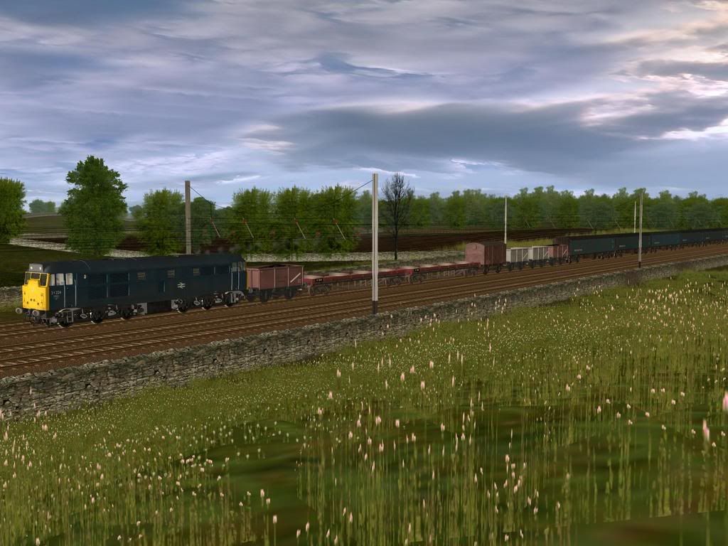 y16.jpg