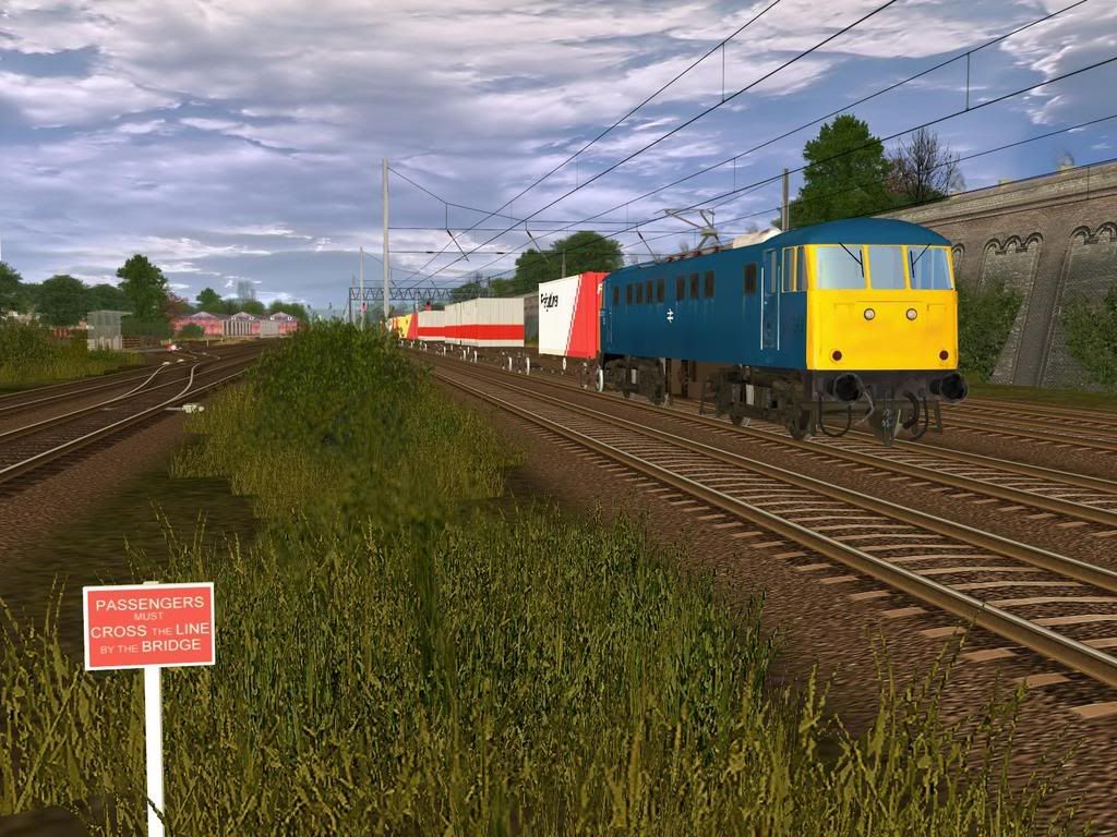 y31.jpg