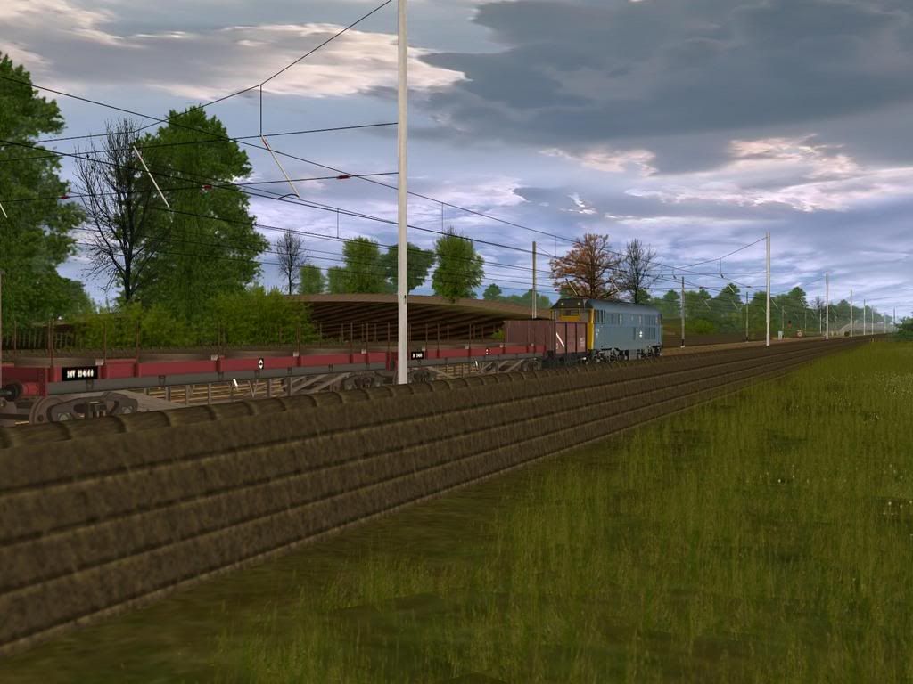 y6.jpg