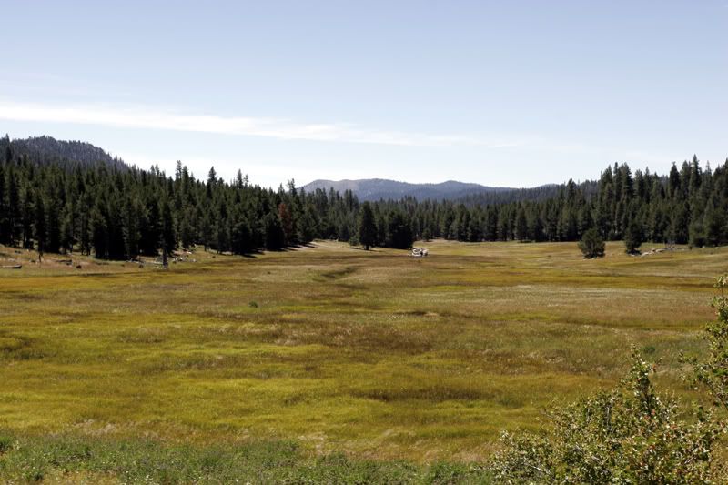 _MG_6562.jpg