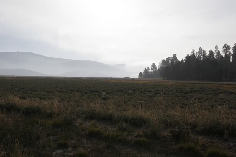 _MG_6709.jpg