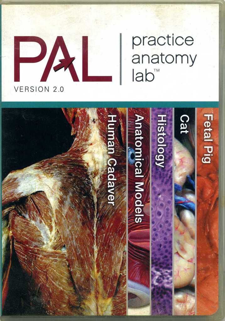 PAL: Practice Anatomy Lab, Version 2.0 by Ruth Heisler; Nora Heber