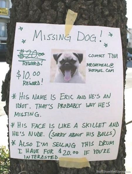 missing-dog_zpsdca53d95.jpg