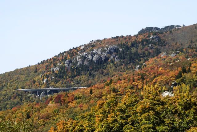 [Linked Image from i55.photobucket.com]