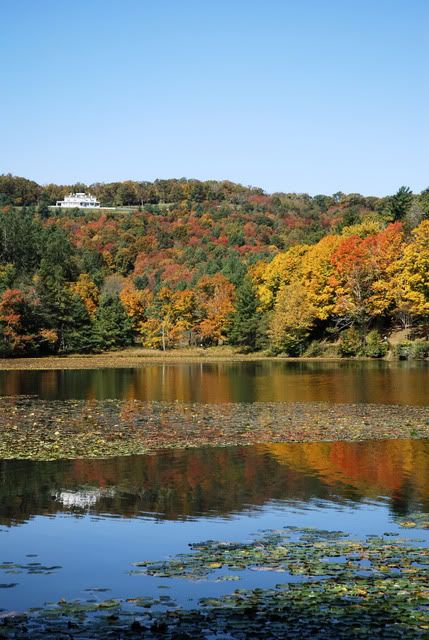 [Linked Image from i55.photobucket.com]