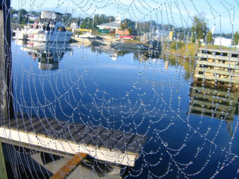 IMAGE: http://i55.photobucket.com/albums/g150/chrysalis1/August06Photobucket.jpg