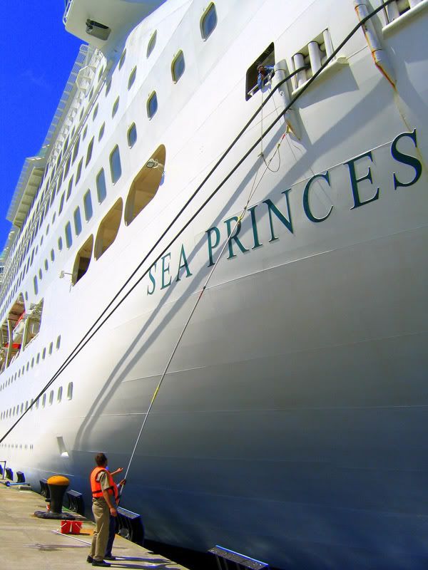 IMAGE: http://i55.photobucket.com/albums/g150/chrysalis1/SeaPrincessPainting.jpg