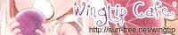 wingtipforums