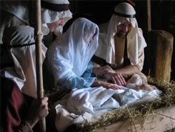christ birth Pictures, Images and Photos