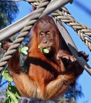 IMAGE: http://i55.photobucket.com/albums/g151/dearis_photos/IMG_0207fortheweb.jpg