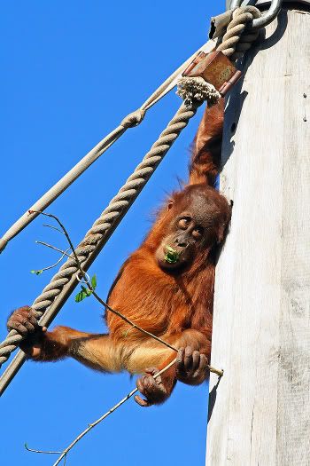 IMAGE: http://i55.photobucket.com/albums/g151/dearis_photos/IMG_0236fortheweb.jpg