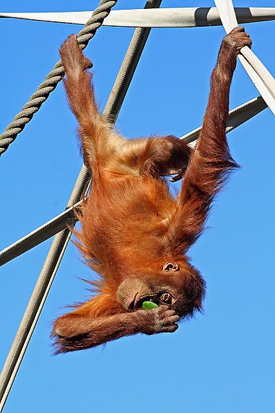 IMAGE: http://i55.photobucket.com/albums/g151/dearis_photos/IMG_0242fortheweb.jpg