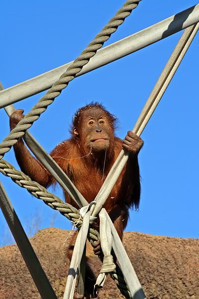 IMAGE: http://i55.photobucket.com/albums/g151/dearis_photos/IMG_0292fortheweb.jpg