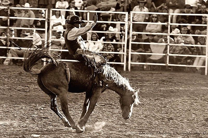 IMAGE: http://i55.photobucket.com/albums/g151/dearis_photos/IMG_1687a.jpg