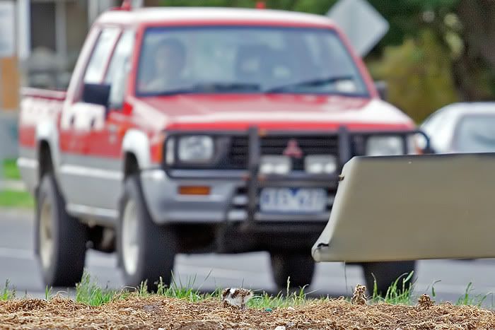 IMAGE: http://i55.photobucket.com/albums/g151/dearis_photos/IMG_3407.jpg