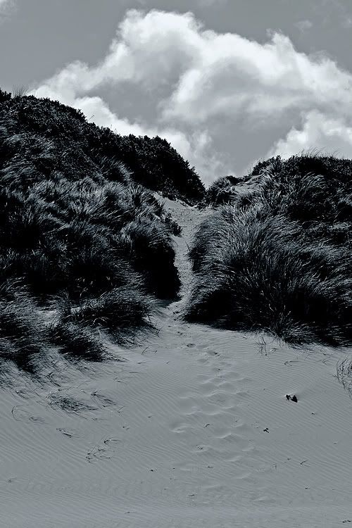 IMAGE: http://i55.photobucket.com/albums/g151/dearis_photos/IMG_6327.jpg