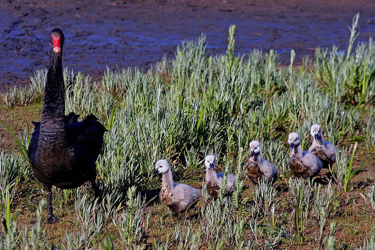 IMAGE: http://i55.photobucket.com/albums/g151/dearis_photos/IMG_6423.jpg