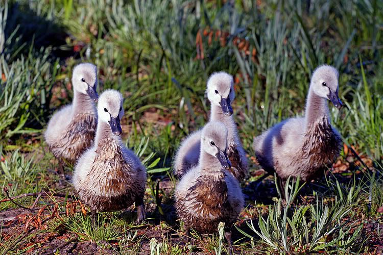 IMAGE: http://i55.photobucket.com/albums/g151/dearis_photos/IMG_6433.jpg