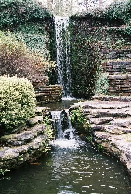 1121-R1-14-15A.jpg Hodges Gardens - Winter 2005 image by xkillaguerillax