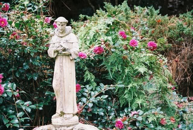 1121-R1-18-19A.jpg Hodges Gardens - Winter 2005 image by xkillaguerillax