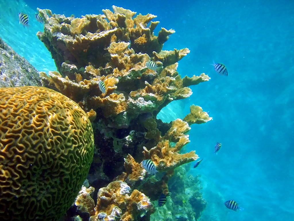 IMAGE: http://i55.photobucket.com/albums/g152/JMC_711/DSC03757.jpg