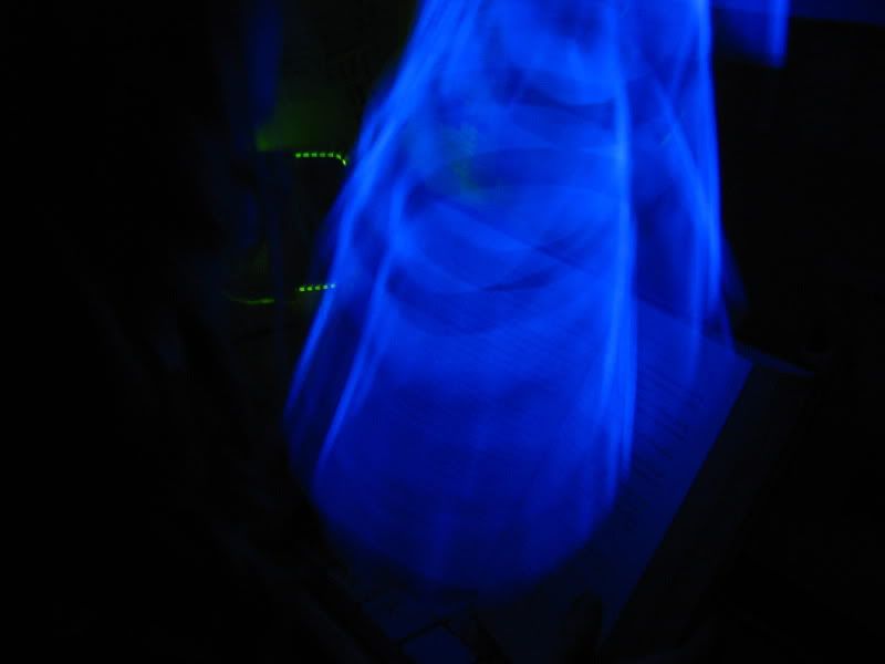 IMAGE: http://i55.photobucket.com/albums/g152/nikkip13/IMG_6190.jpg