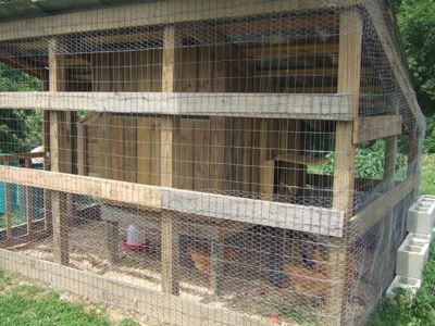 Chicken Coops